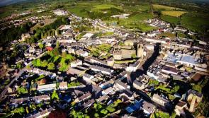 Details of Roscrea's Town Centre First strategy unveiled
