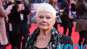 Belfast film lands seven Oscar nominations