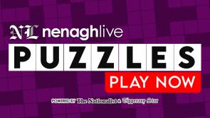Nenagh Live Interactive Puzzles
