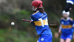 Tipperary team announced to take on Offaly on Saturday