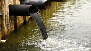 Nenagh rivers  under threat from pollution