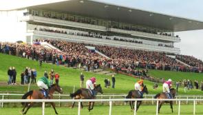 Exciting times at Limerick Racecourse with two Sunday meetings in March