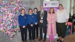 One Million Stars Tipperary exhibit launched in Nenagh for International Women's Day
