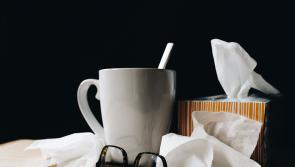 New legislation for Tipperary employers on sick leave, tips and gratiuties
