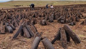 Tipperary TD to meet Minister Ryan on proposed ban on turf sales