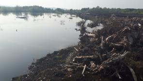 Tipperary TD opposes any mandatory attempt by European Parliament to rewet bogs
