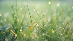 WEATHER: An unsettled weekend ahead across Tipperary with heavy showers and spells of sunshine 