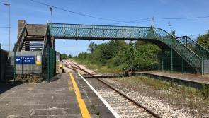 Nenagh rail line has potential for commuting to Limerick, Minister Ryan tells Dáil