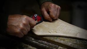 Ash dieback a real threat to Ireland and hurling