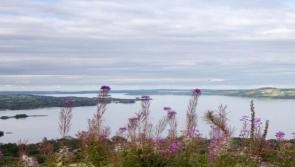 Tourism attraction: Tipperary greenway proposal will link Dromineer with Ballina