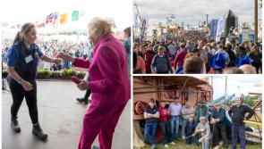 PICTURES: All the best snaps from Day 2 of the National Ploughing Championships
