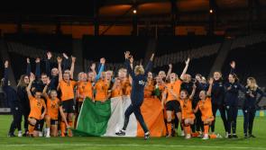 REVEALED: How many viewers tuned into Ireland's World Cup playoff victory?