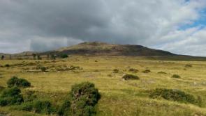 All ACRES applicants must be accommodated in Tranche 2 according to the IFA