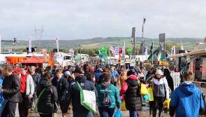 Improved weather boosts attendance figures for day 2 of the National Ploughing Championships