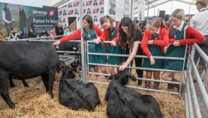 Clonmel secondary-school students presented with Certified Irish Angus calves at the Ploughing