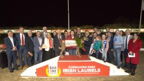 Tipperary greyhound trainer lands the winner of the Bar One Racing Irish Laurels title