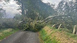 LIVE: Storm Éowyn charges through Tipperary leaving roads impassable county-wide 