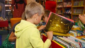 Roscrea library reopens to the public this week following a delay due to Storm Eowyn 