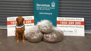 Cannabis in parcels destined for Louth sniffed out by detector dog James