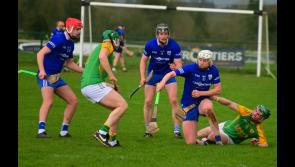 ROUND-UP: County hurling league gets off the ground with good opening weekend of fixtures