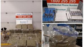 Illicit cigarettes 'destined for Tipperary' sniffed out by detector dogs Milo and Grace