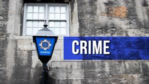 Outgoing Taoiseach and T&aacute;naiste share their thoughts after two off duty Garda&iacute; allegedly assaulted