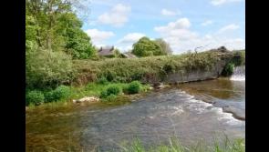 Popular Nenagh river walk earmarked by Councillor for 'development' 