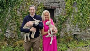 Taoiseach Simon Harris joins Nenagh County Council candidate for a day of canvassing