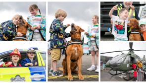 PICTURES: Retiring top sniffer dog James 'Nose' he is a hero