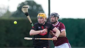 TEAM OF THE YEAR - Intermediate Hurling Championship 2024
