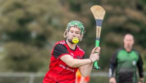 Moneygall's Munster foray ended at the first hurdle by strong Kerry opposition 