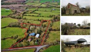 PICTURES: Tipperary cottage, farmyard, land and outbuildings on sale for surprising price