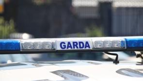 Gardai launch investigation after man dies in road crash in County Clare