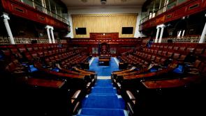 Dáil hears of deepening crisis in Tipperary disability team as vacancies soar