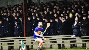 Mixed fortunes for Tipperary schools with two still standing in the Harty cup quarter finals