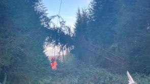 ESB Networks restore power to 340,000 customers impacted by Storm Darragh