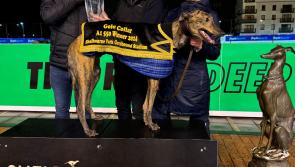 Top display as Razldazl Edward is crowned as the Gold Collar Champion