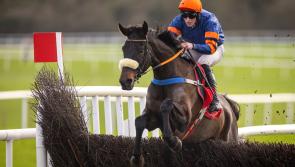 Another winner for Tipperary jockey Cian Quirke this time at Punchestown