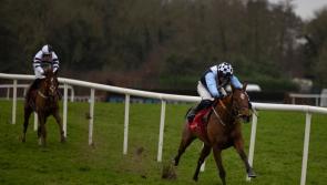 Amateur rider Harry Swan rides a winner at Punchestown in fine style 