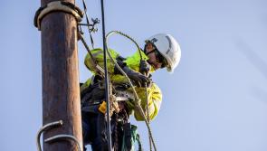 Thousands still without power in Tipperary following Storm Éowyn chaos 