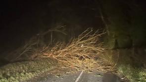 LIVE: More than 560,000 homes without power as Storm Éowyn continues to batter Ireland