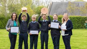 Tipperary schools take on the Green-Schools Big Travel Challenge this month