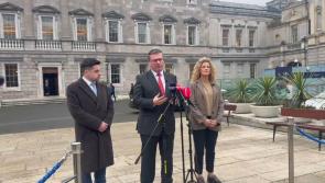 Nenagh TD criticises Minister for Justice and casts doubt on Children's Hospital progress