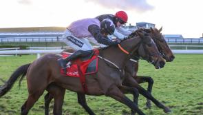Tipperary jockey first past the post to complete tidy double for Gordon Elliot