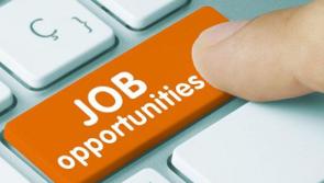 JOBS BOARD: Ten companies hiring in Tipperary this week