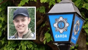 Gardaí stand down search for missing teenager amid update
