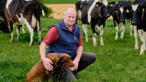 Tipperary farm leader calls for Bluetongue Vaccine to be made available in smaller volumes