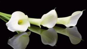 RIP: Tipperary deaths and funeral details, April 1