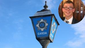 Gardaí have issued missing persons appeal for 24 year old Meath man