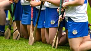 BREAKING: Camogie Association calls for Special Congress a year early over skort controversy